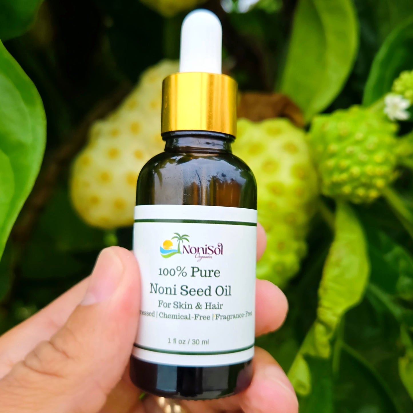 100% Pure Noni Seed Oil (1oz)